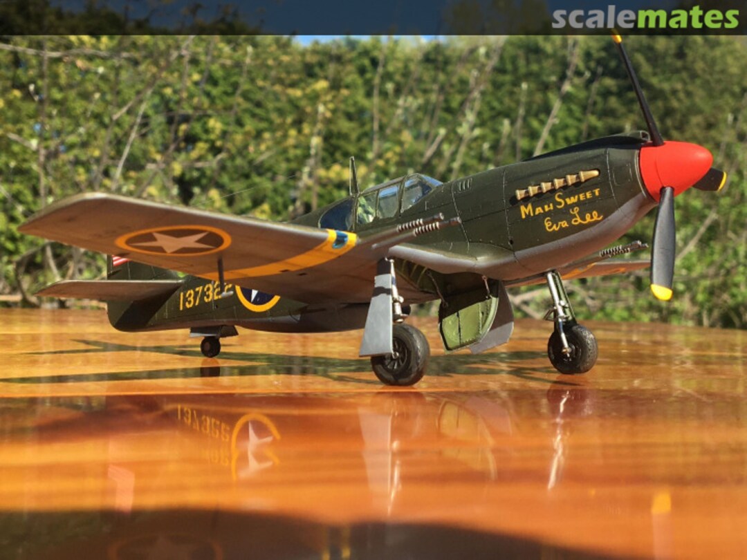 View album, image #28