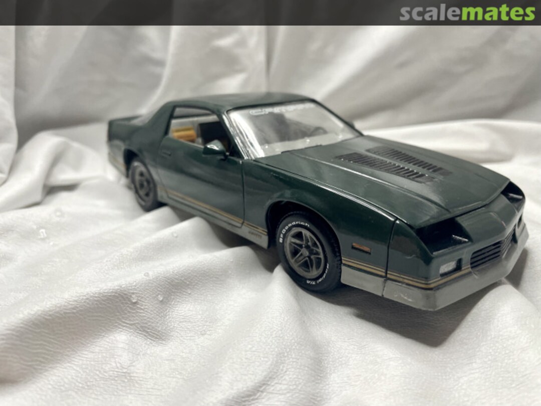 View album, image #5 View album, image #5