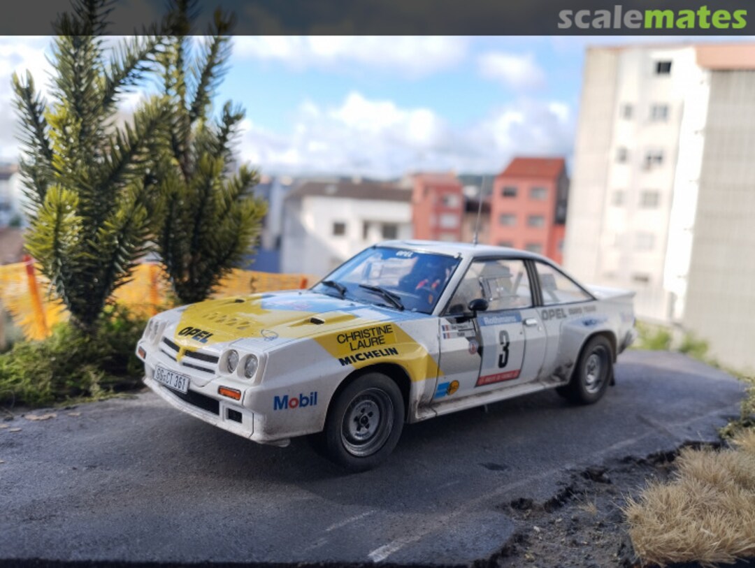 View album, image #8 View album, image #8