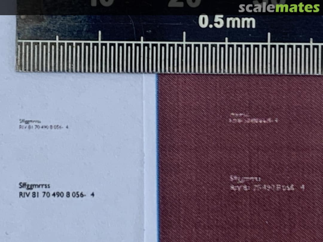 View album, image #11 View album, image #11