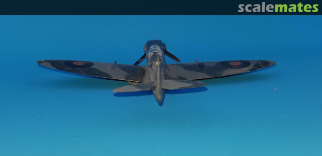 View album, image #1 View album, image #1