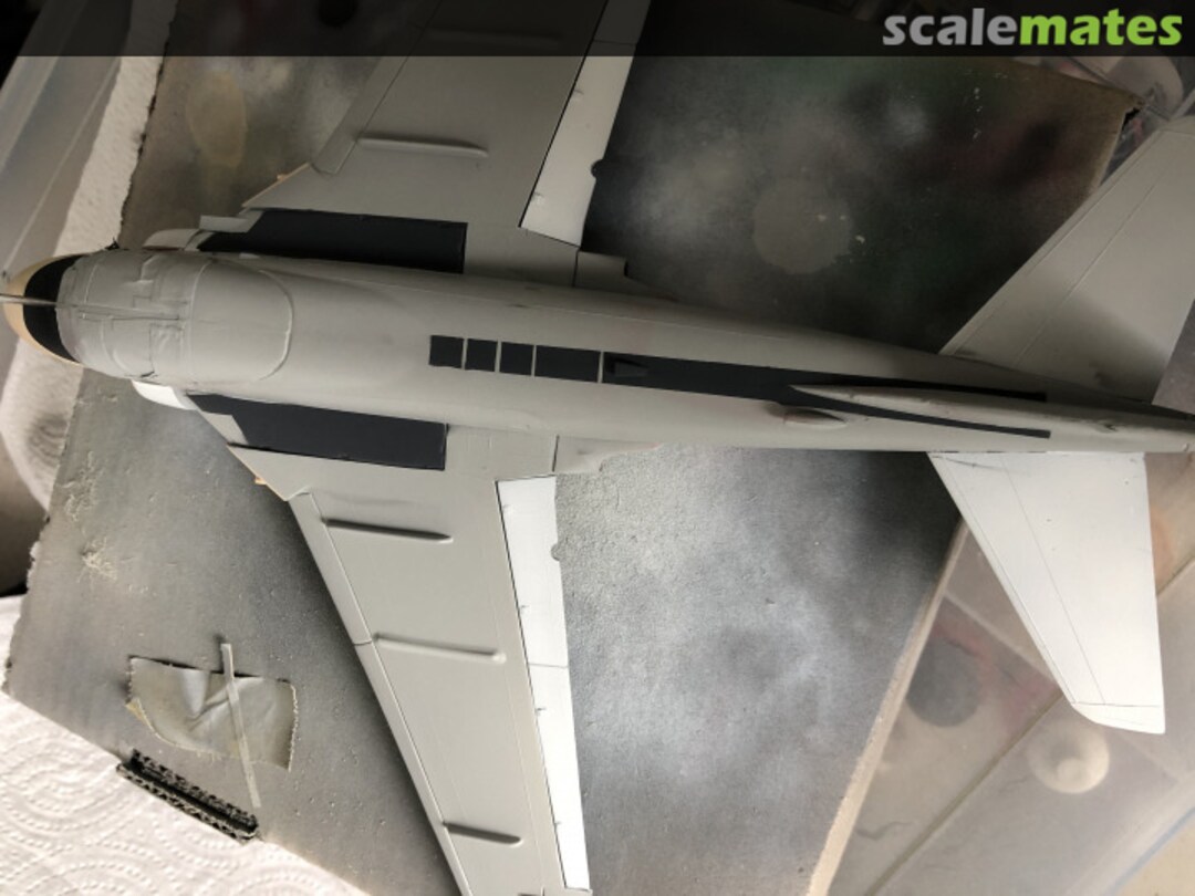 View album, image #5 View album, image #5