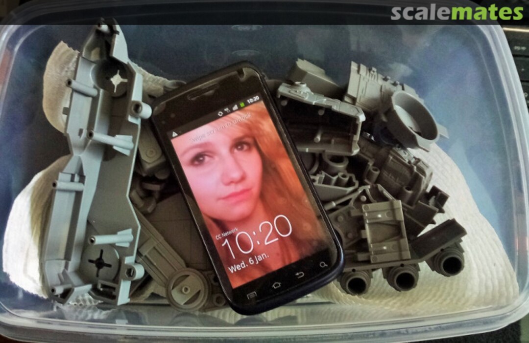 View album, image #1 View album, image #1