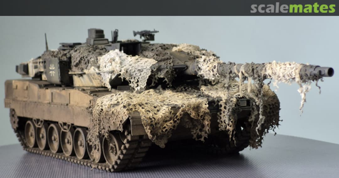 View album, image #12 View album, image #12