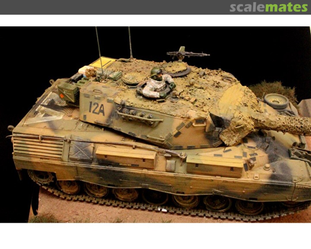 View album, image #1 View album, image #1