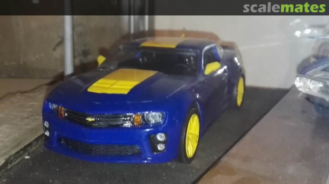 View album, image #1 View album, image #1