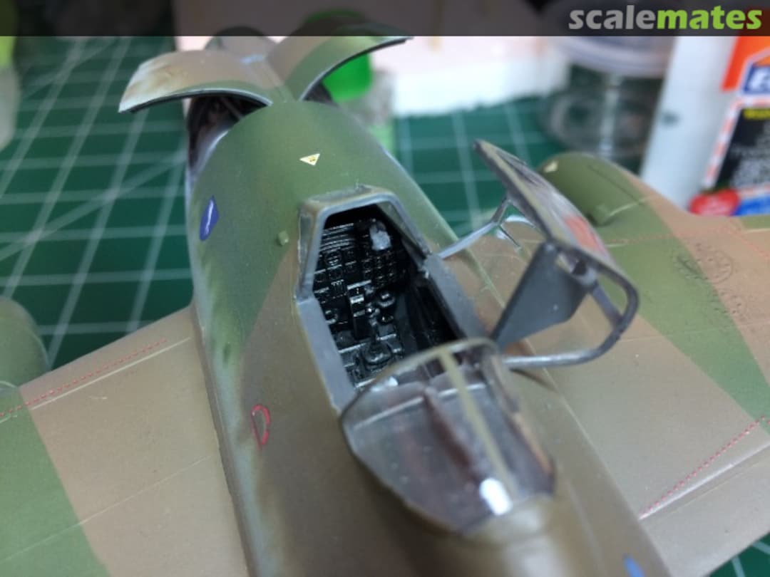 View album, image #1 View album, image #1