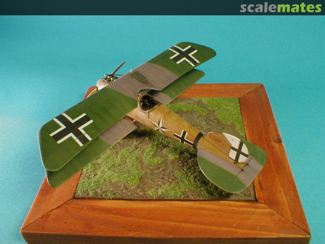 View album, image #1 View album, image #1