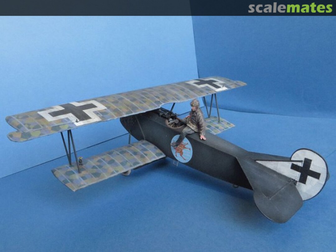 View album, image #6