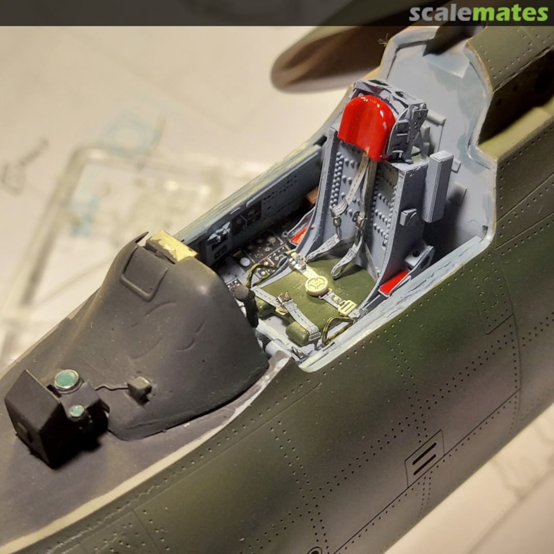 View album, image #1 View album, image #1