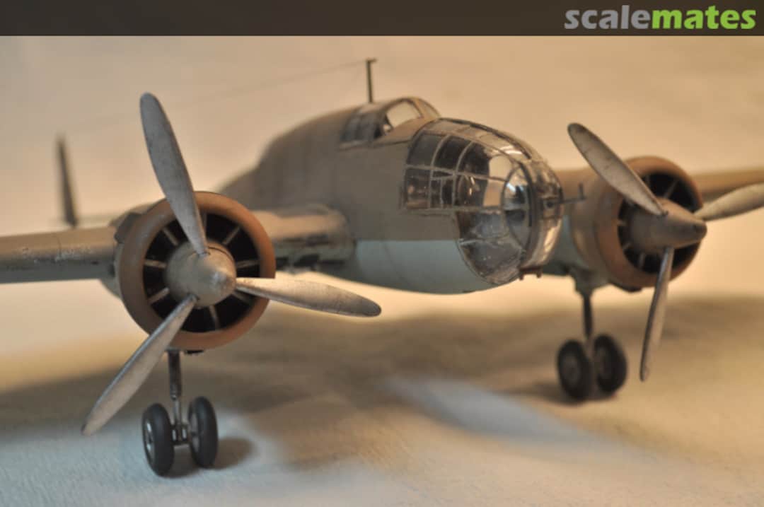 View album, image #1 View album, image #1