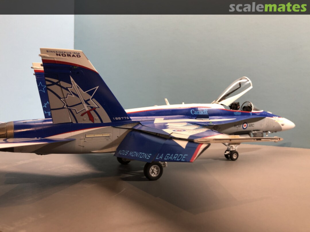 View album, image #3 View album, image #3