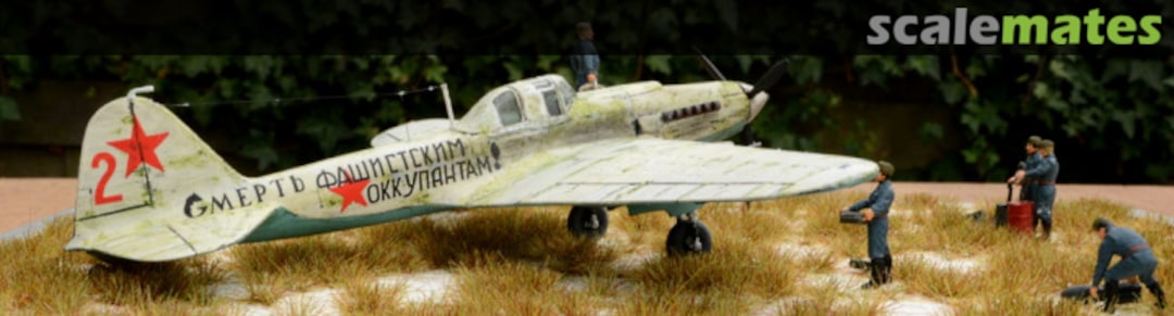 View album, image #7 View album, image #7