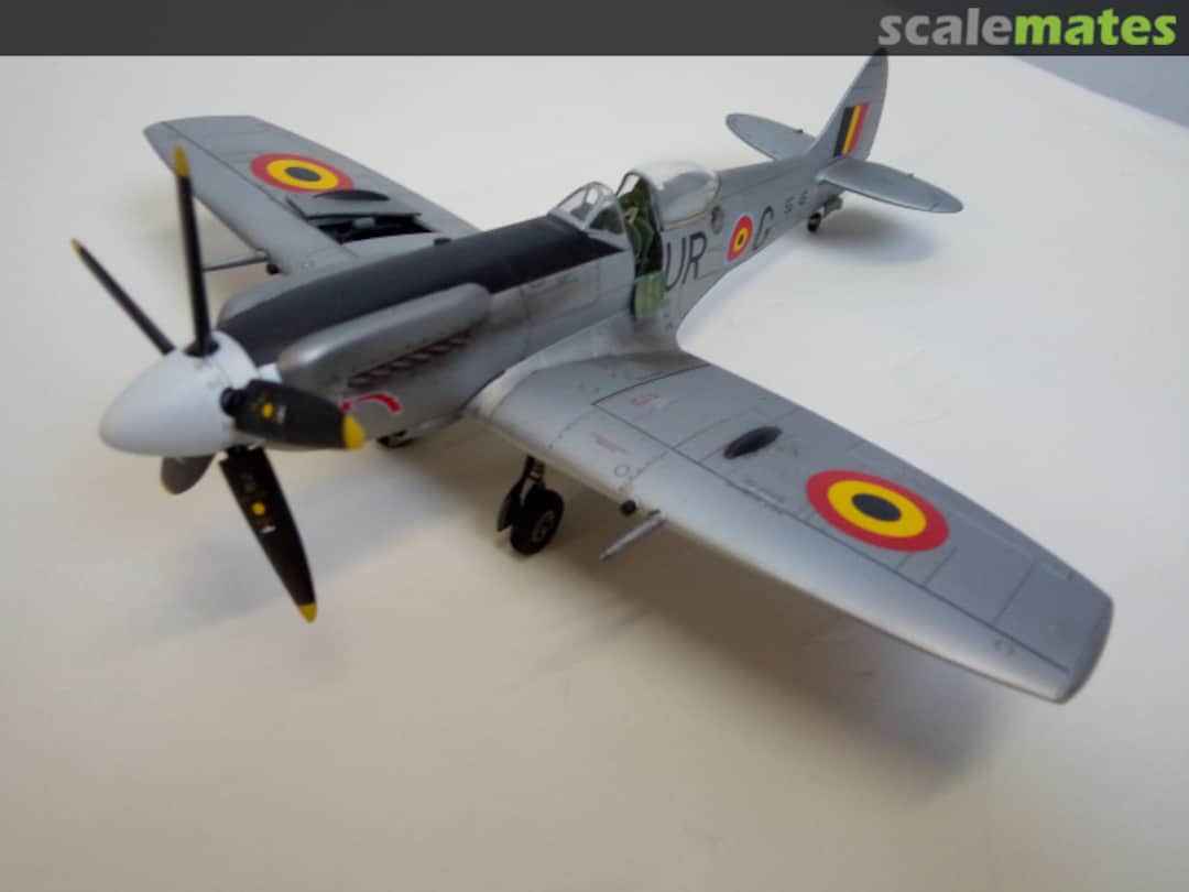 View album, image #1