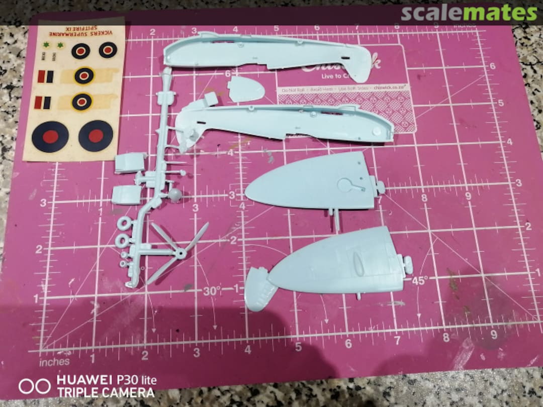 View album, image #1 View album, image #1