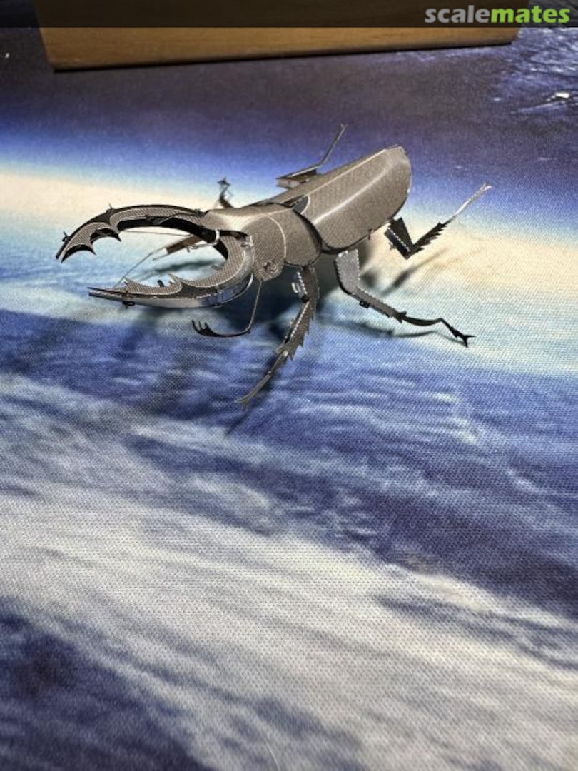 View album, image #17 View album, image #17