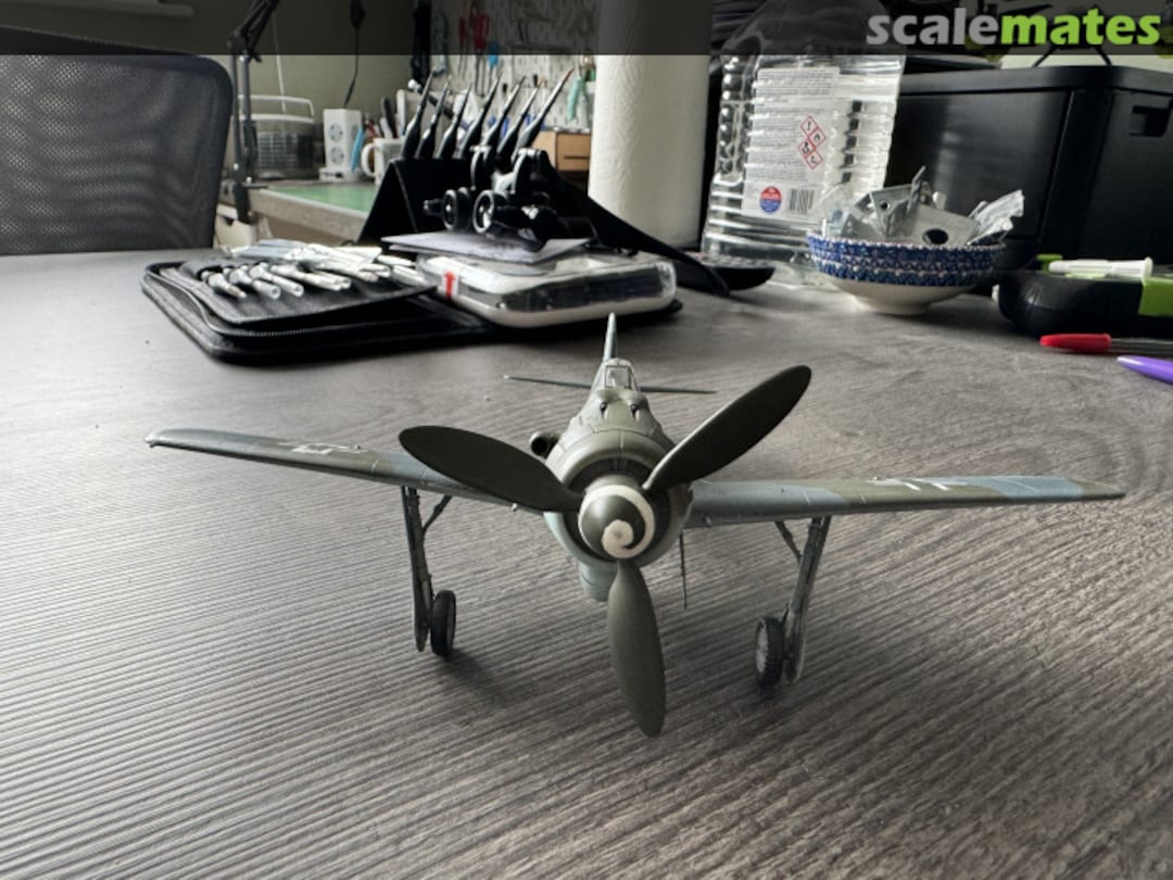 View album, image #1 View album, image #1