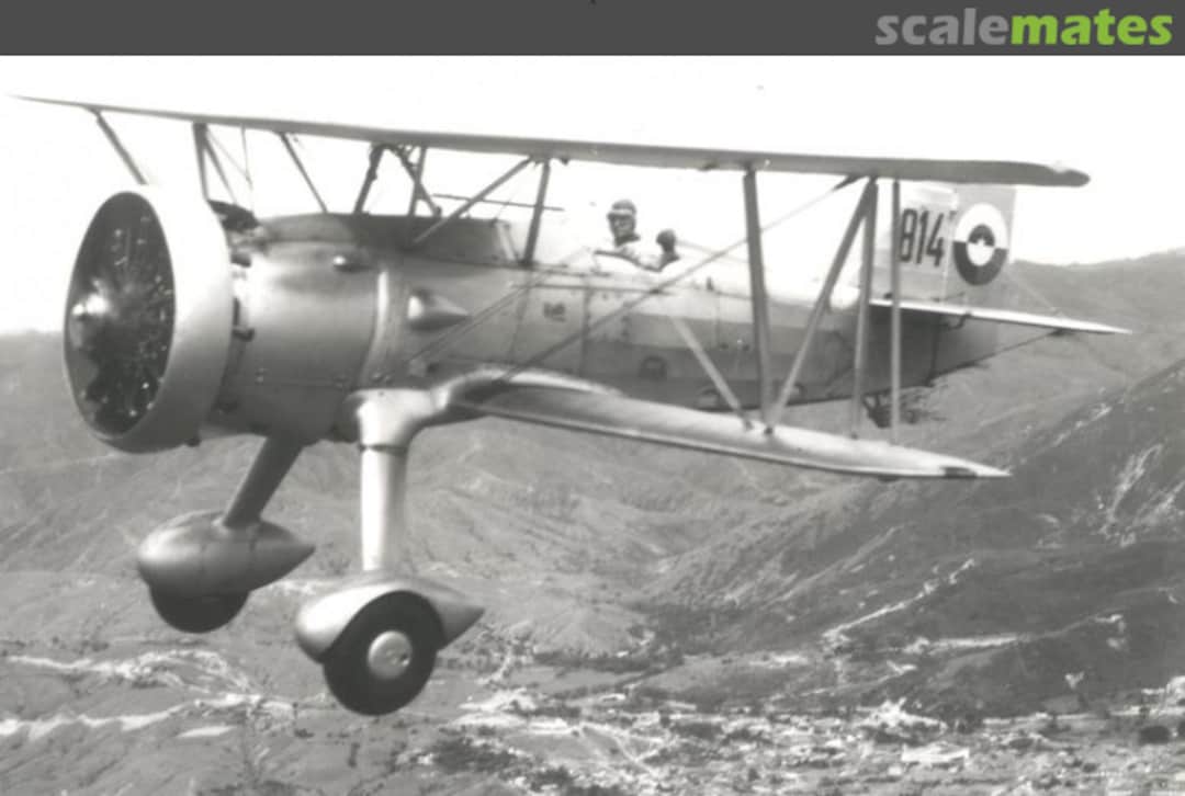 View album, image #1