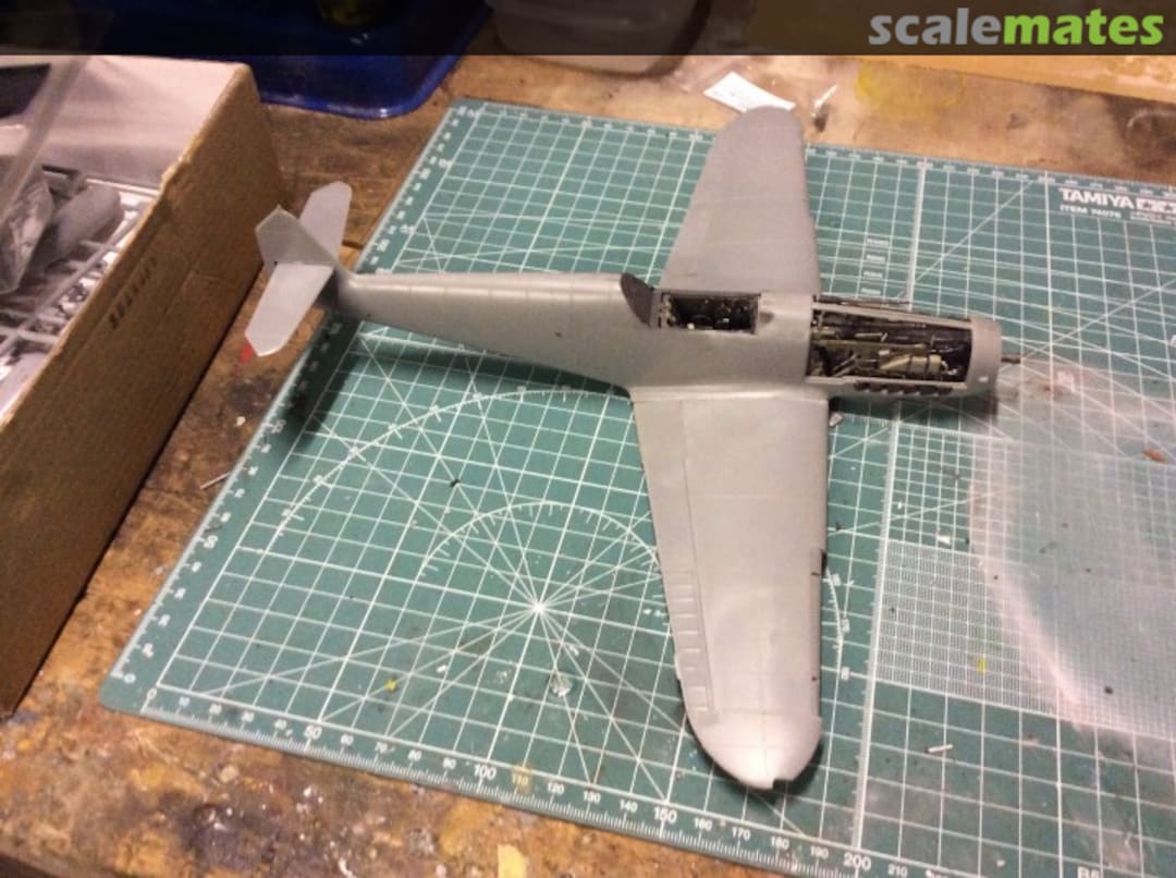 View album, image #1 View album, image #1