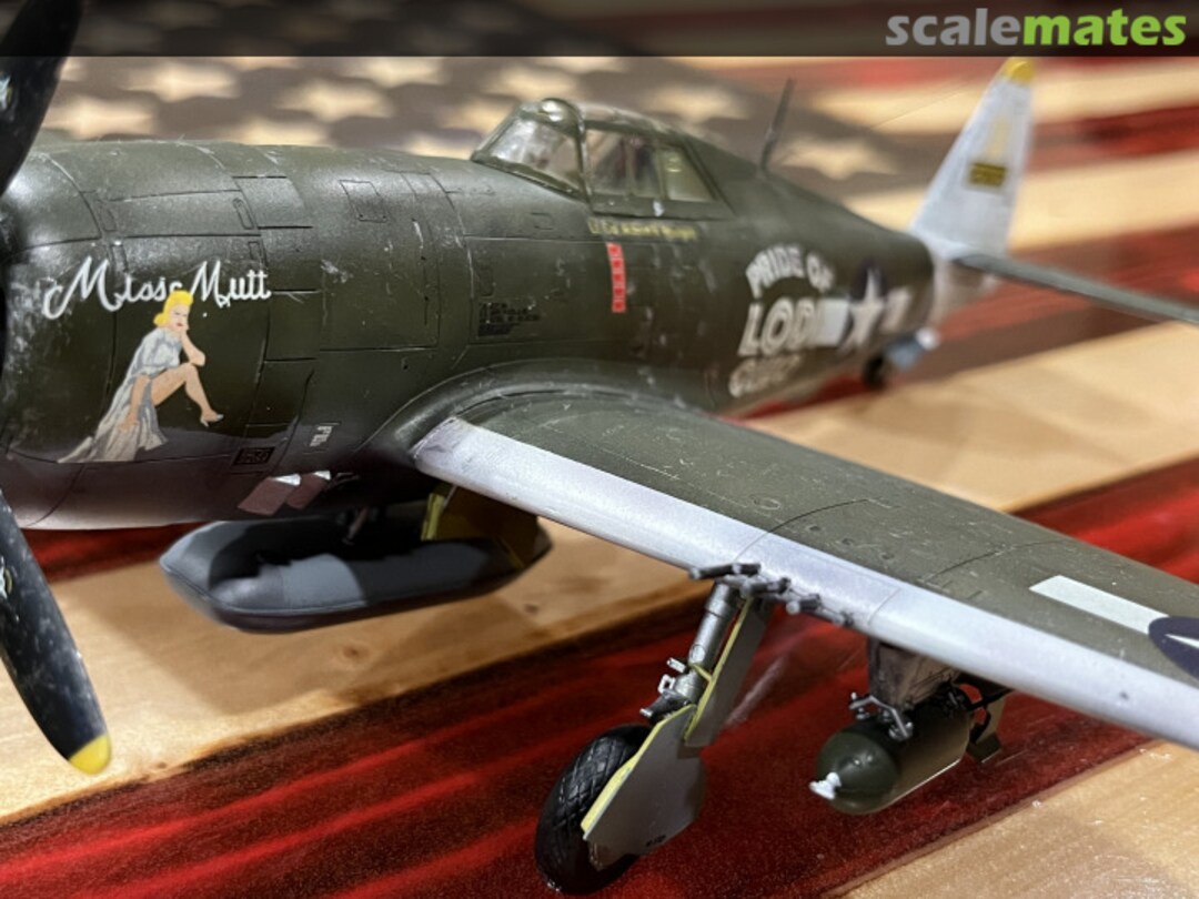 View album, image #3 View album, image #3