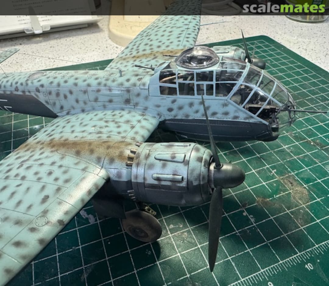 View album, image #27