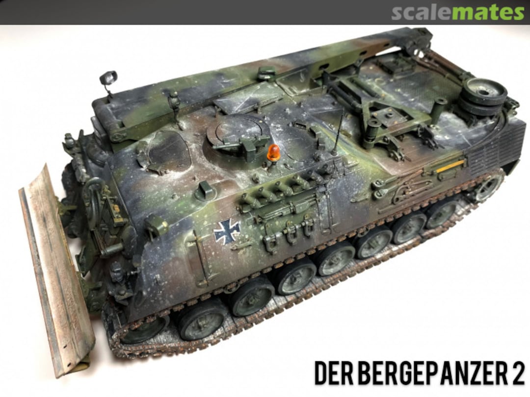 View album, image #40 View album, image #40