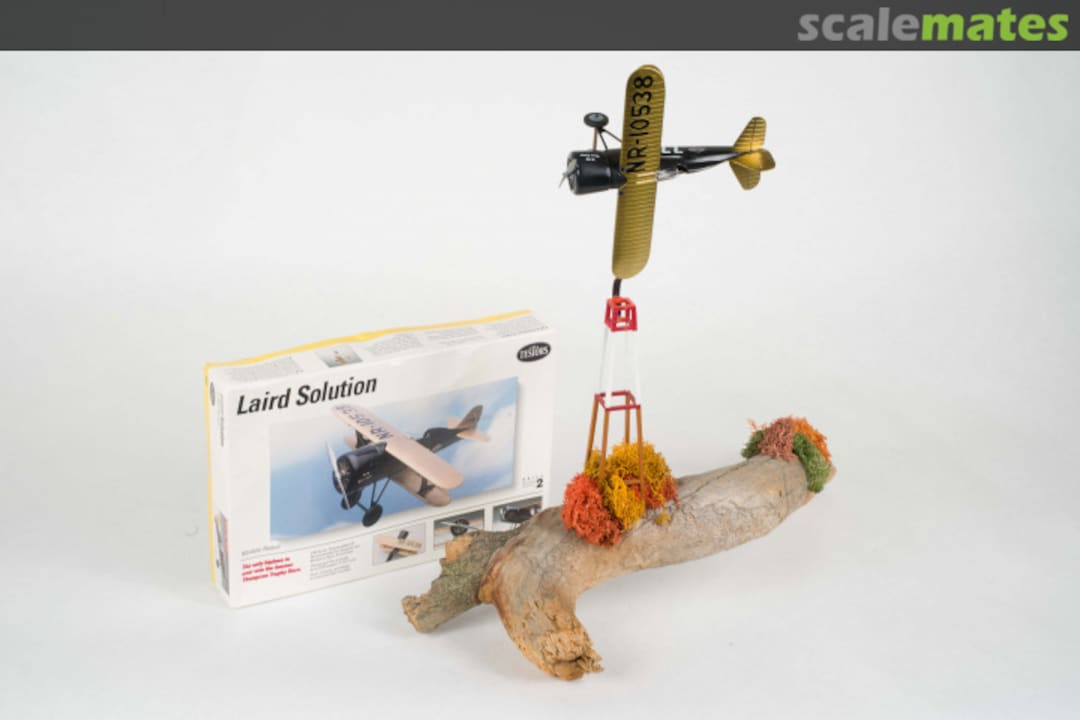 View album, image #11 View album, image #11