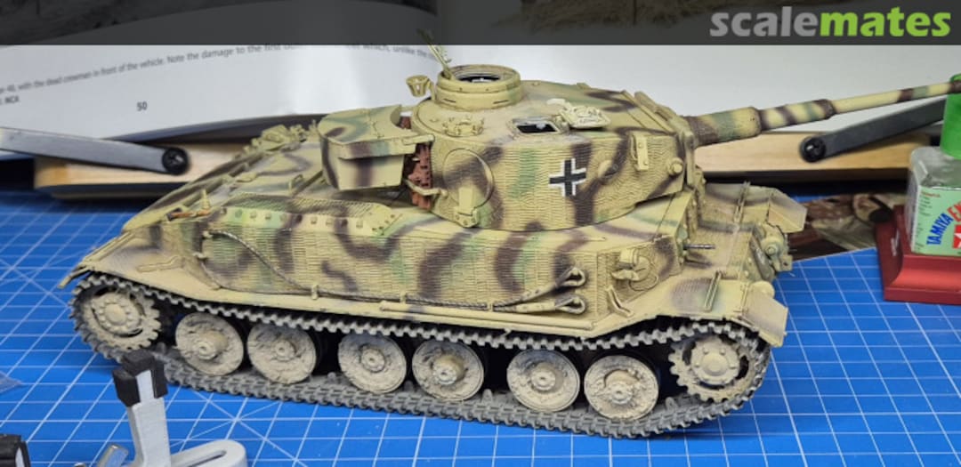 View album, image #11 View album, image #11