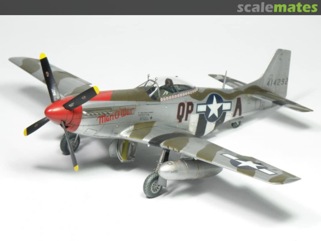 View album, image #1 View album, image #1