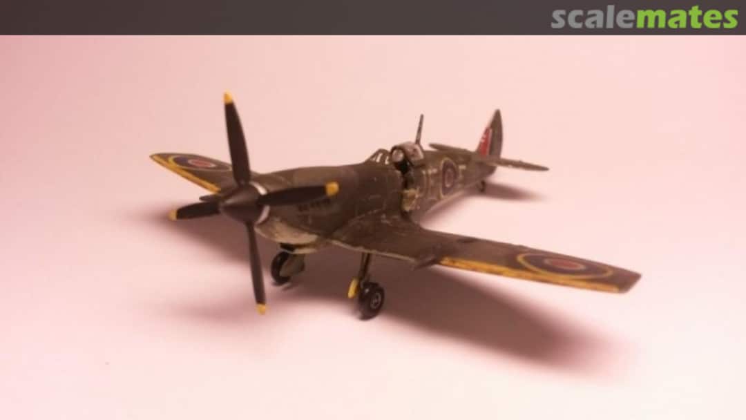 View album, image #1 View album, image #1