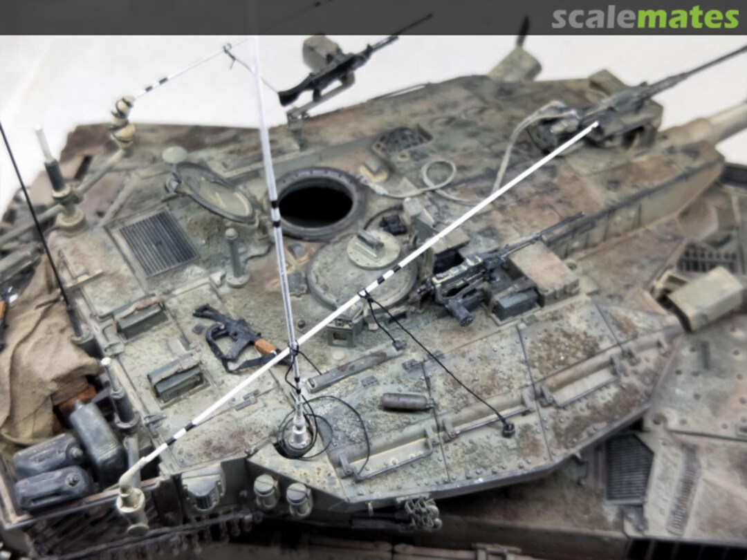 View album, image #1 View album, image #1