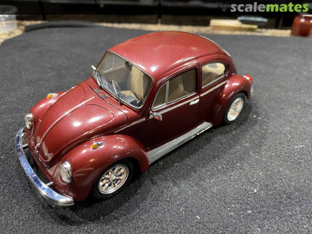 View album, image #3 View album, image #3