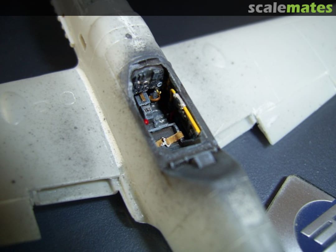 View album, image #1 View album, image #1