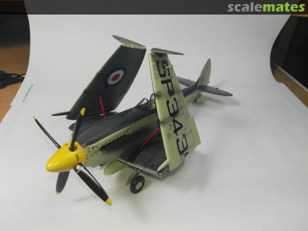 View album, image #1 View album, image #1