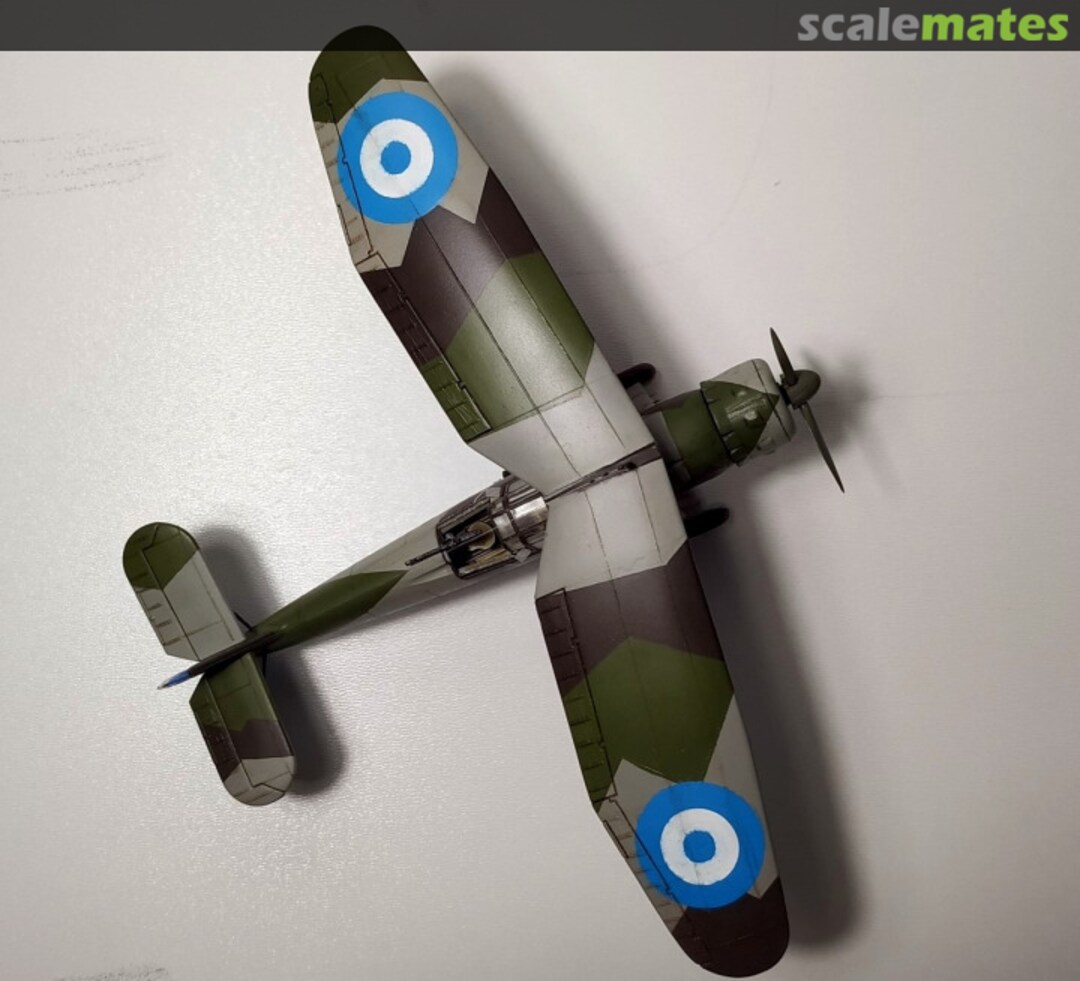 View album, image #1