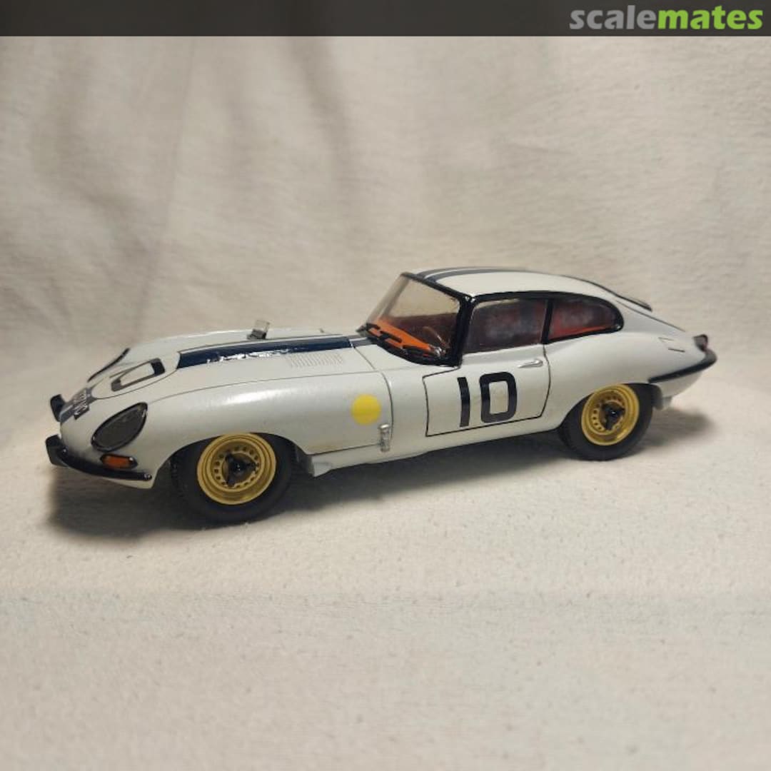 View album, image #1 View album, image #1