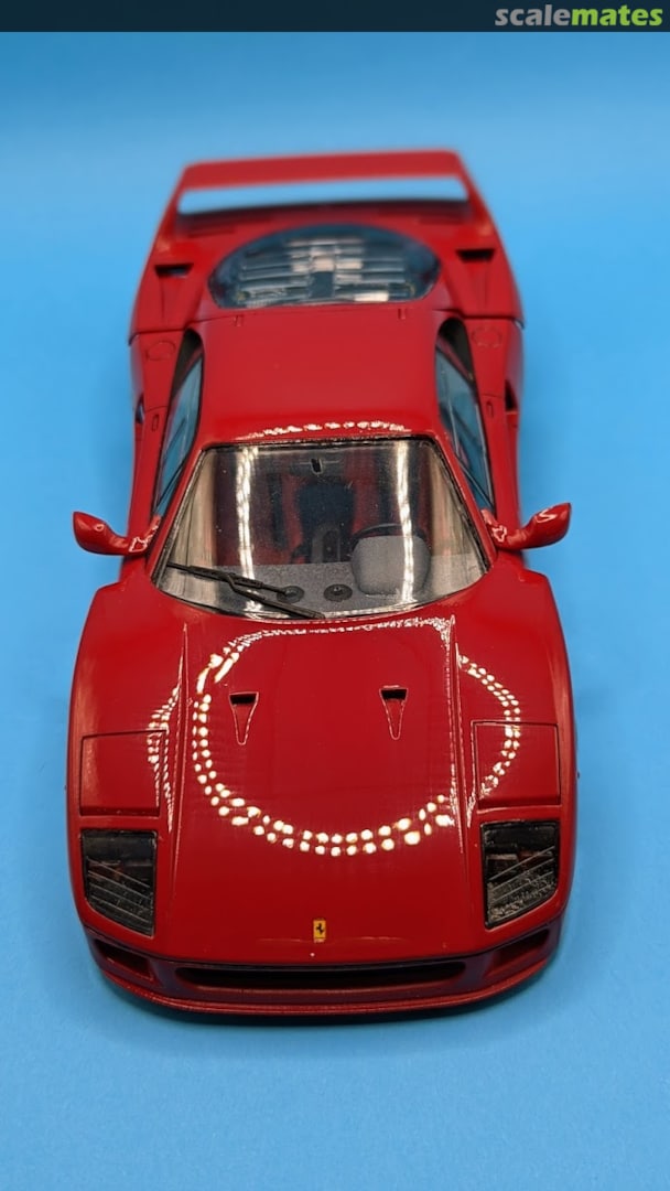 View album, image #1 View album, image #1