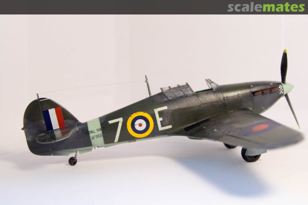 View album, image #1 View album, image #1