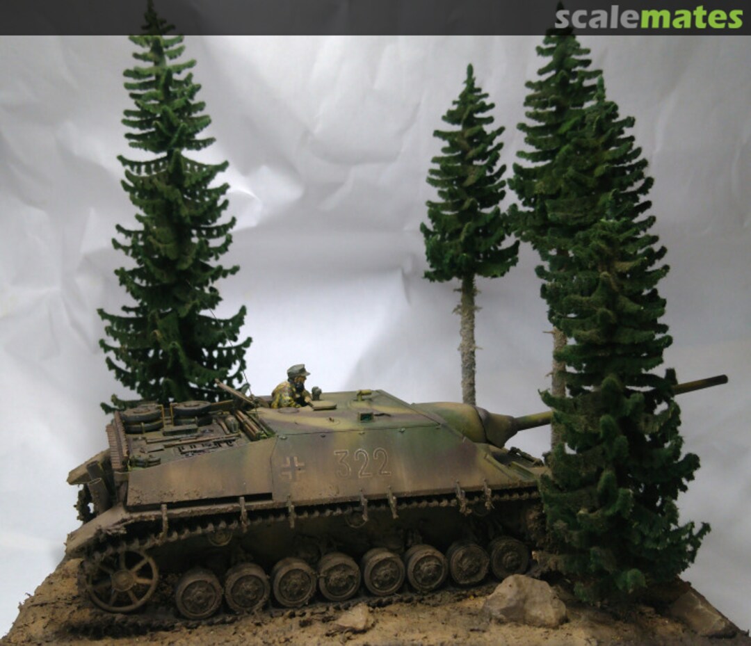 View album, image #1 View album, image #1