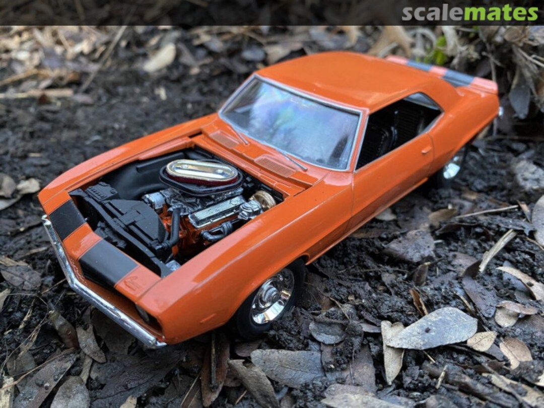 View album, image #8 View album, image #8