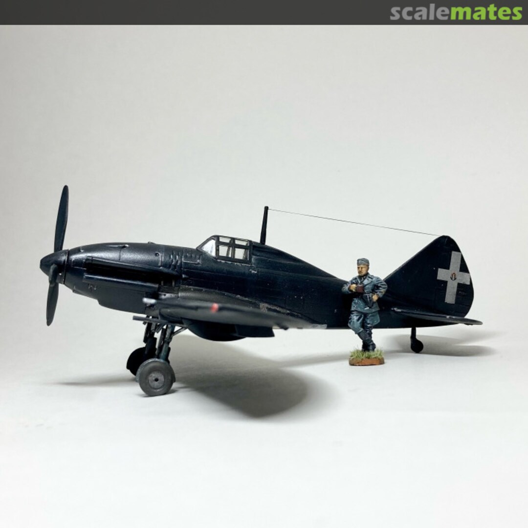 View album, image #8 View album, image #8