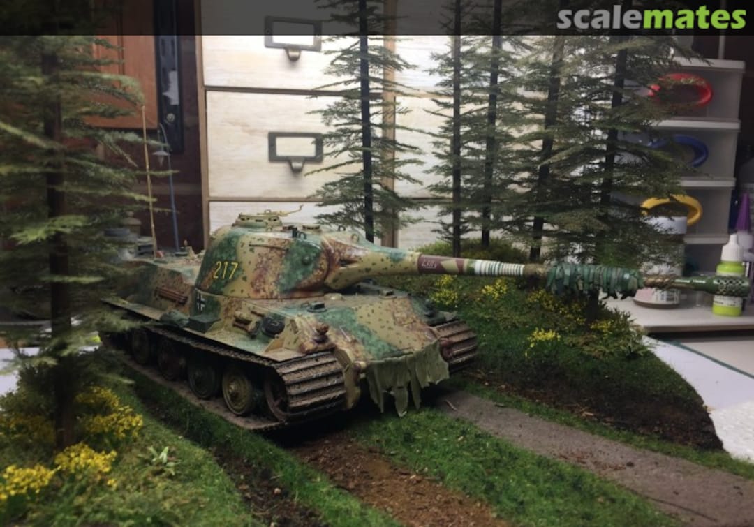 View album, image #2 View album, image #2