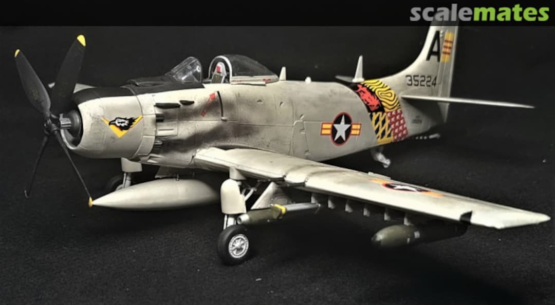 View album, image #7 View album, image #7