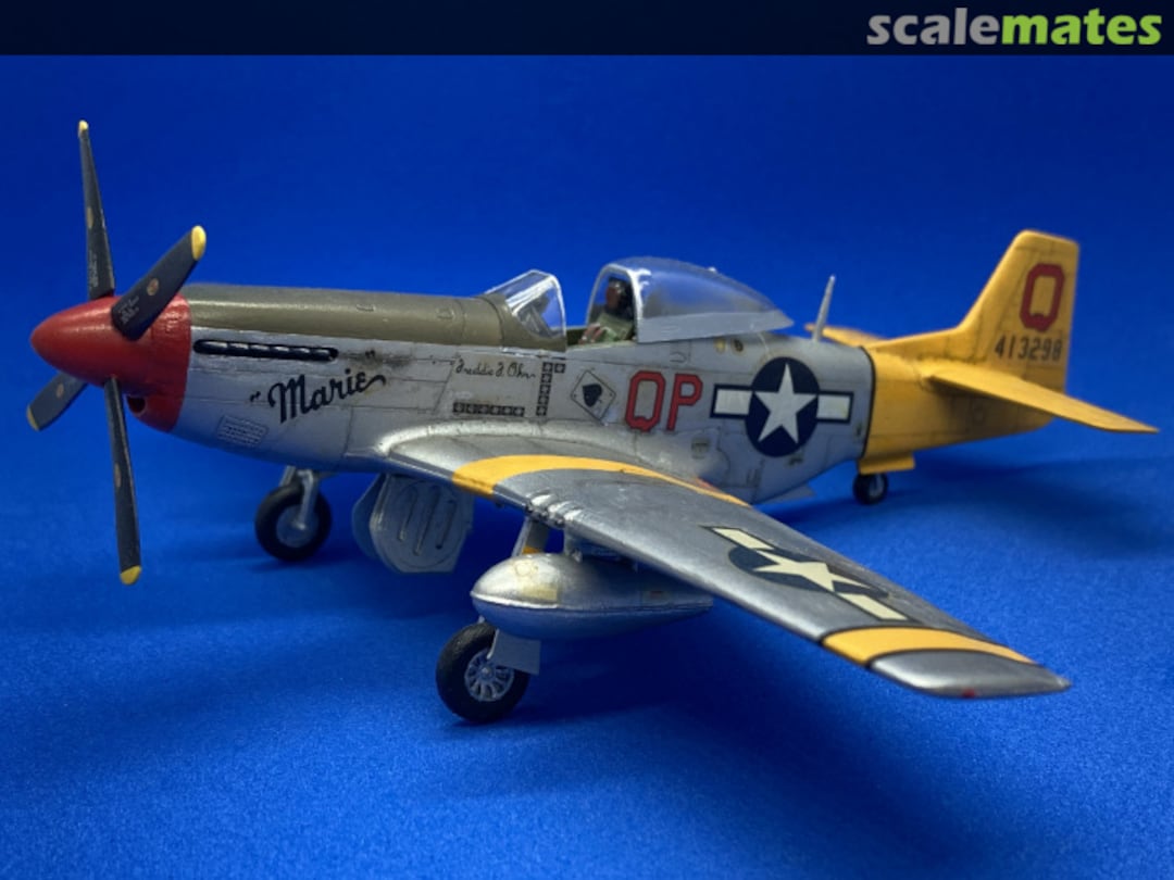 View album, image #1 View album, image #1