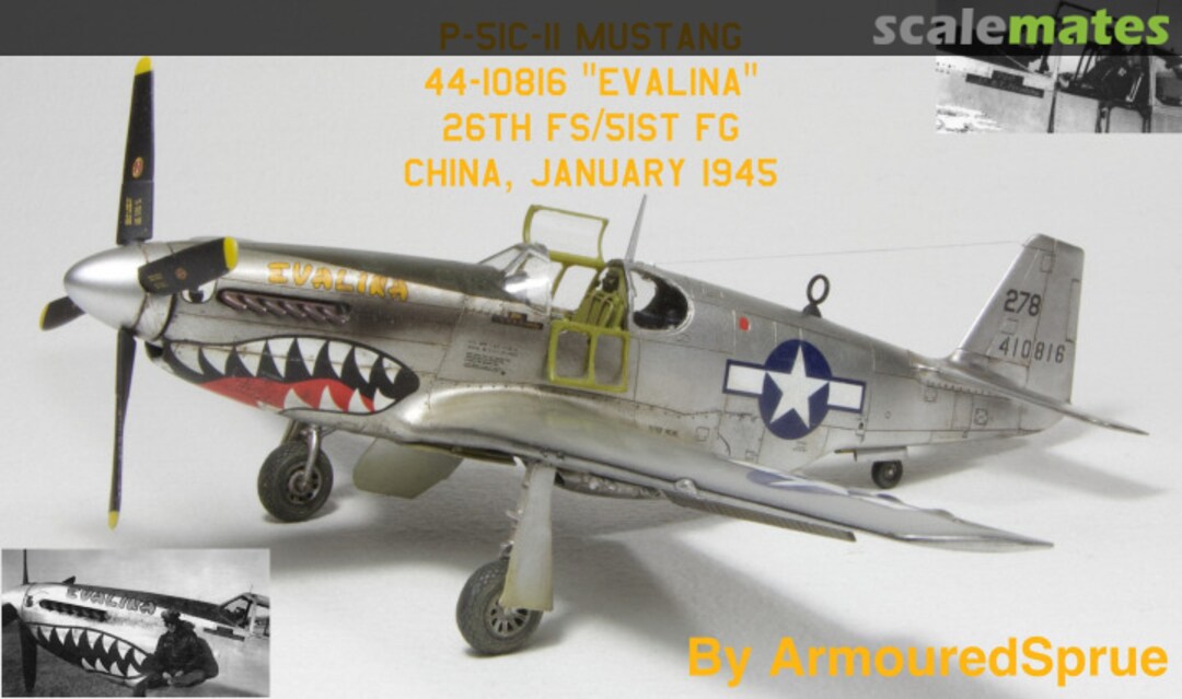 View album, image #3