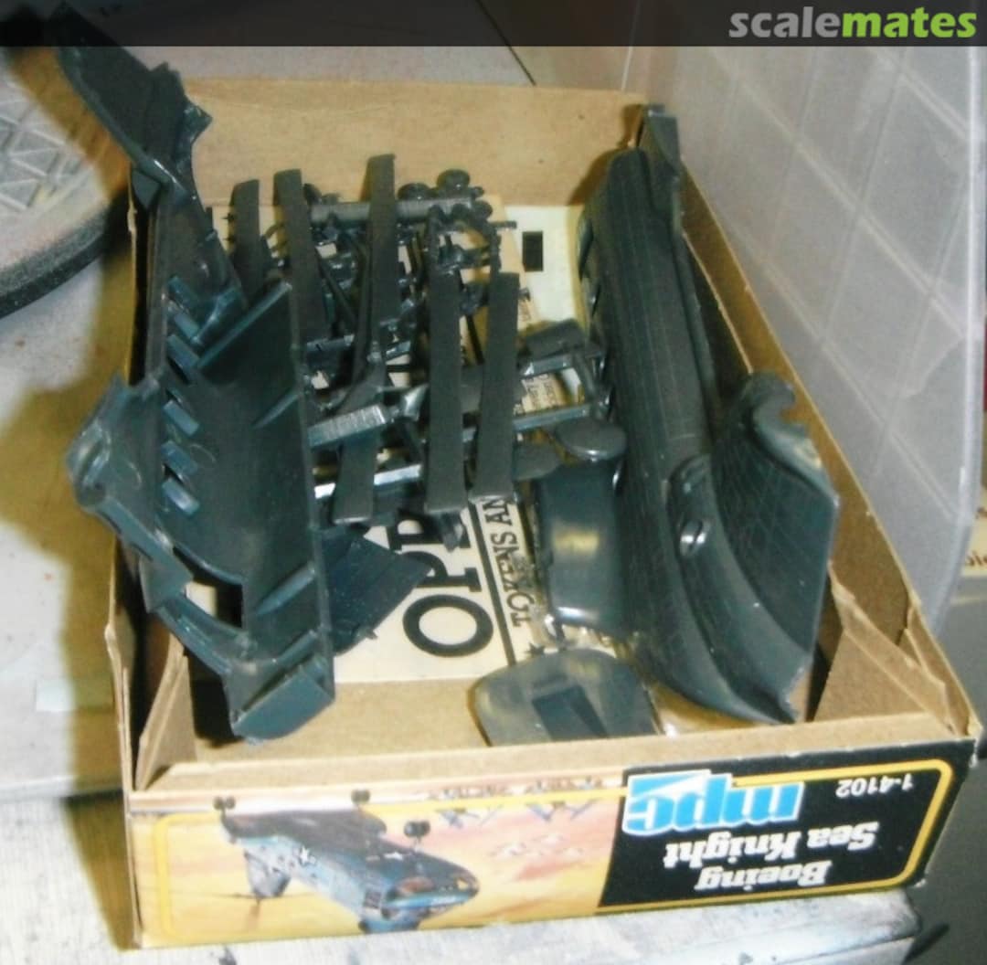 View album, image #1 View album, image #1