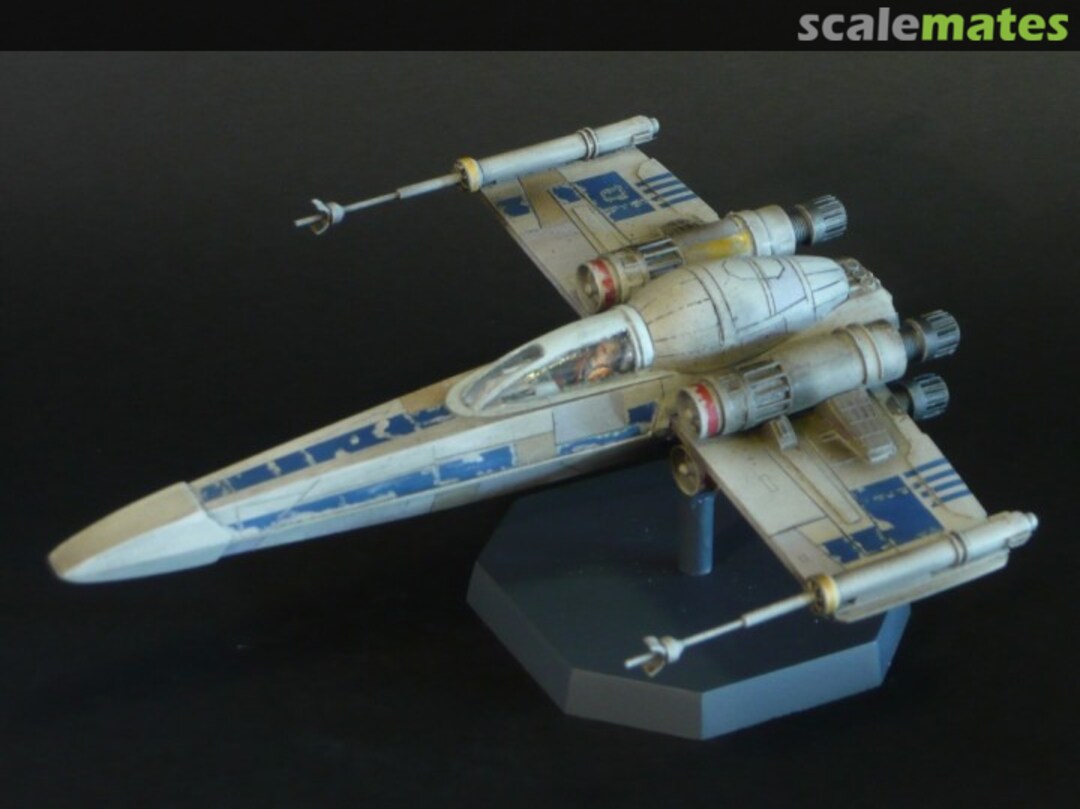 View album, image #1 View album, image #1