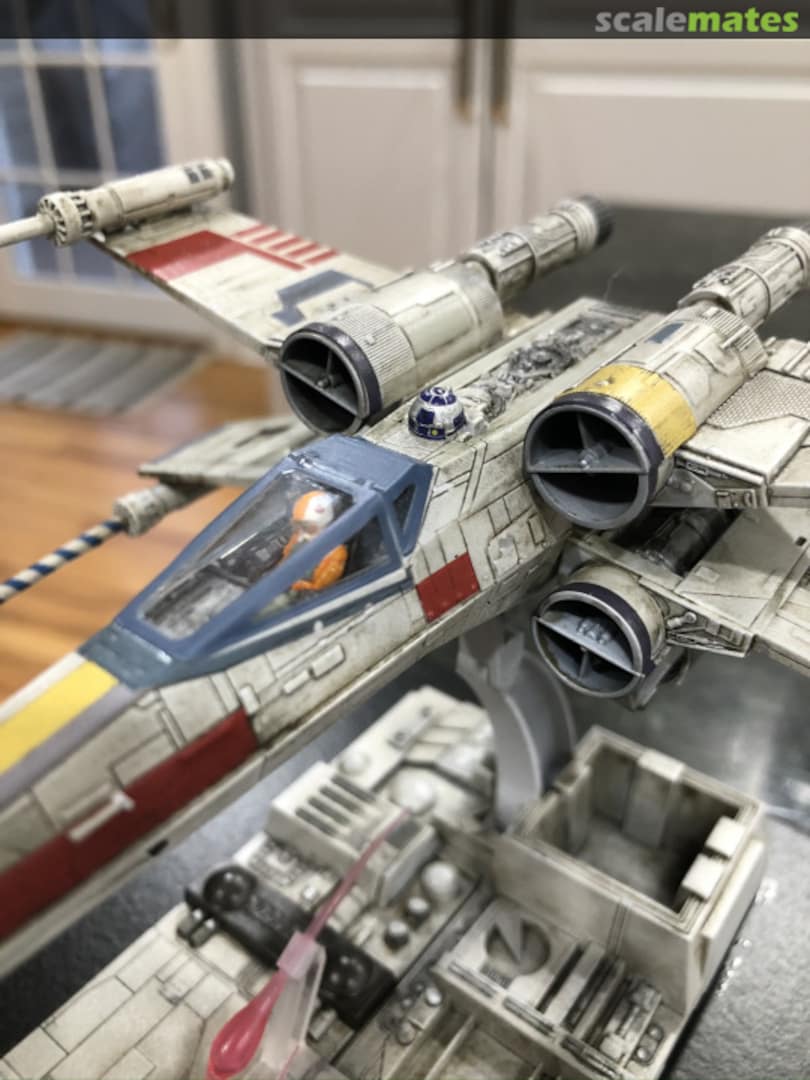 View album, image #1 View album, image #1