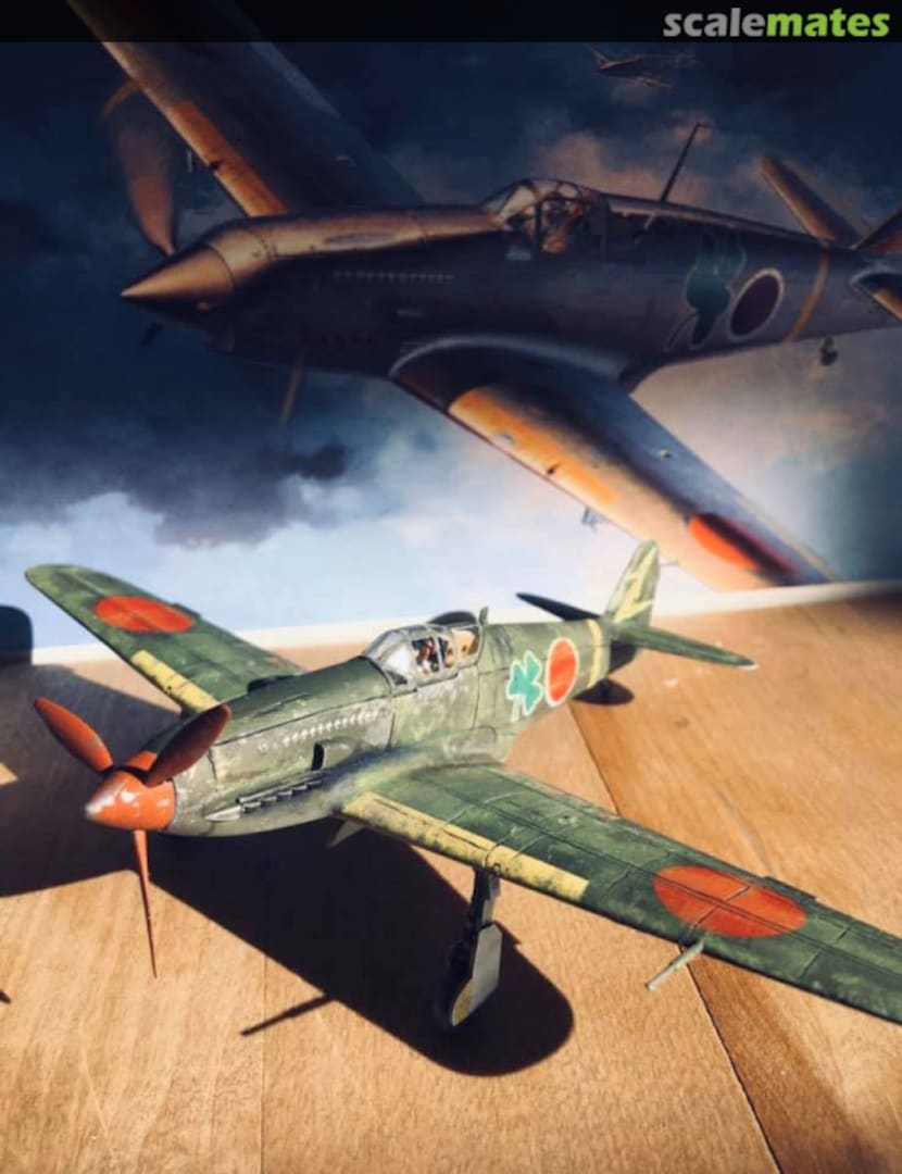 View album, image #1 View album, image #1