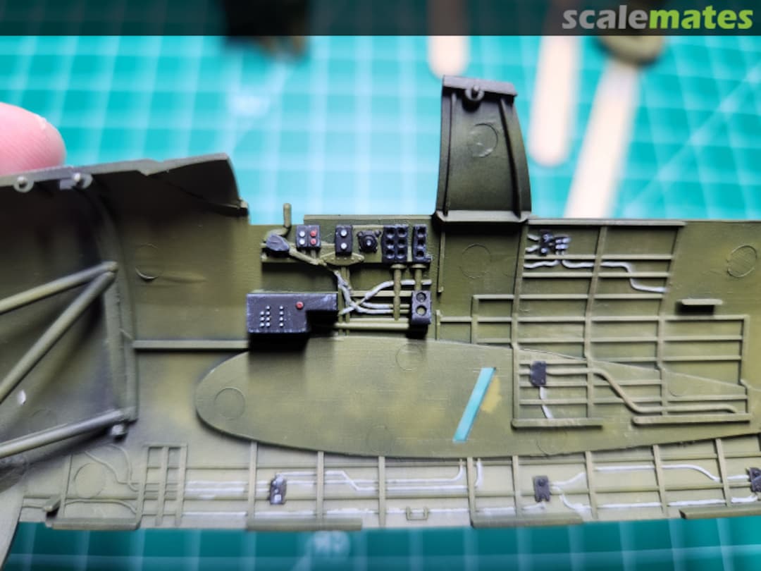 View album, image #1 View album, image #1